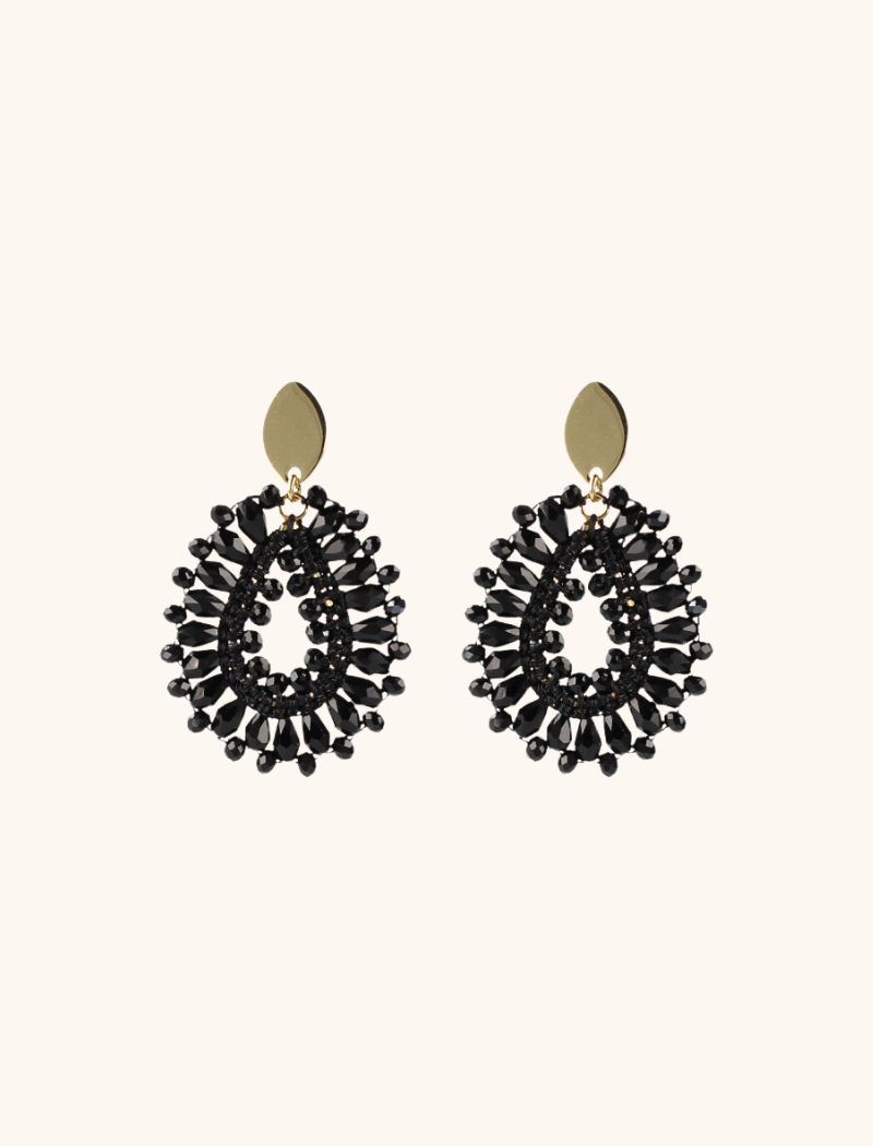 Robin Silk Drop Crystal S Black Earrings