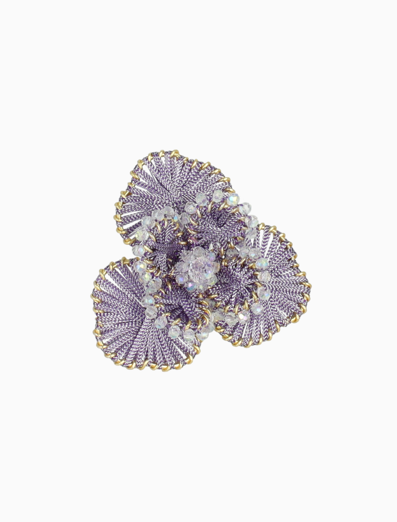 Lila Ring Aster Flower