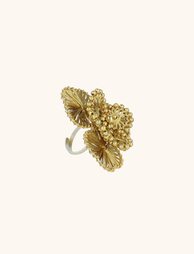 Gouden Ring Aster Flowerlott-theme.productDescriptionPage.SEO.byTheBrand