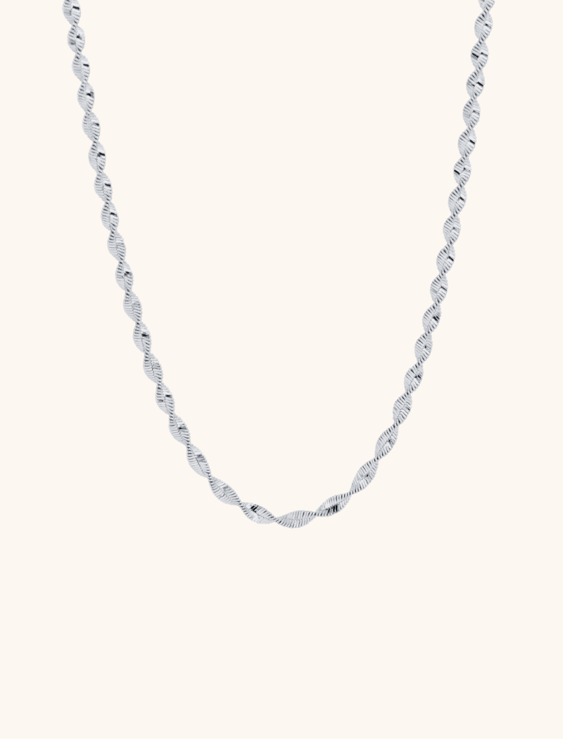 Silver twisted chain necklace