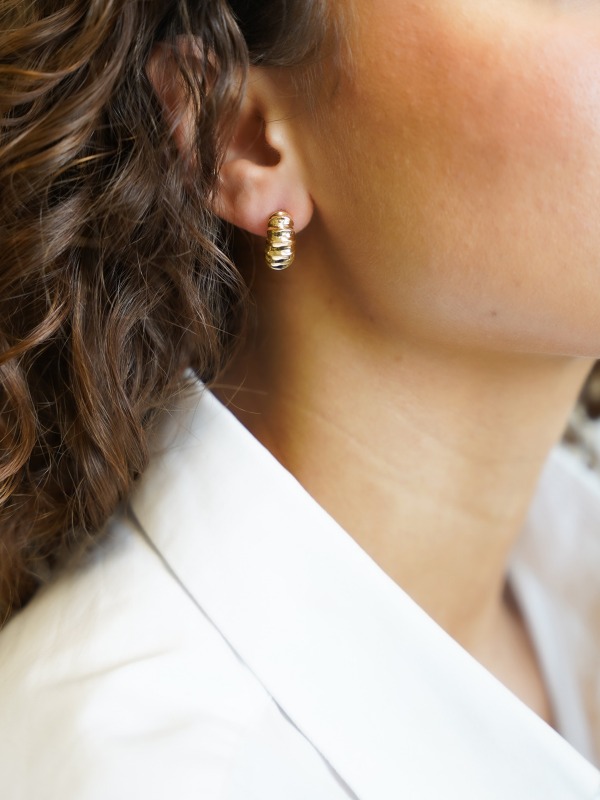 Classic Earrings Creole Swirl S