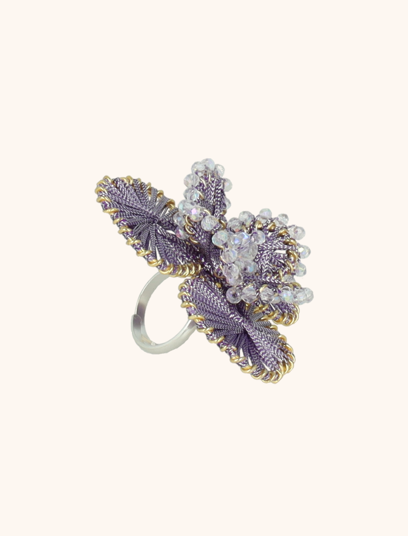 Lila Ring Aster Flowerlott-theme.productDescriptionPage.SEO.byTheBrand