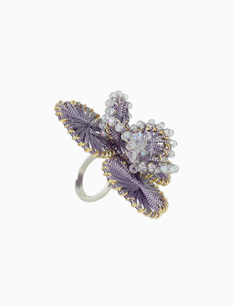 Lila Ring Aster Flower