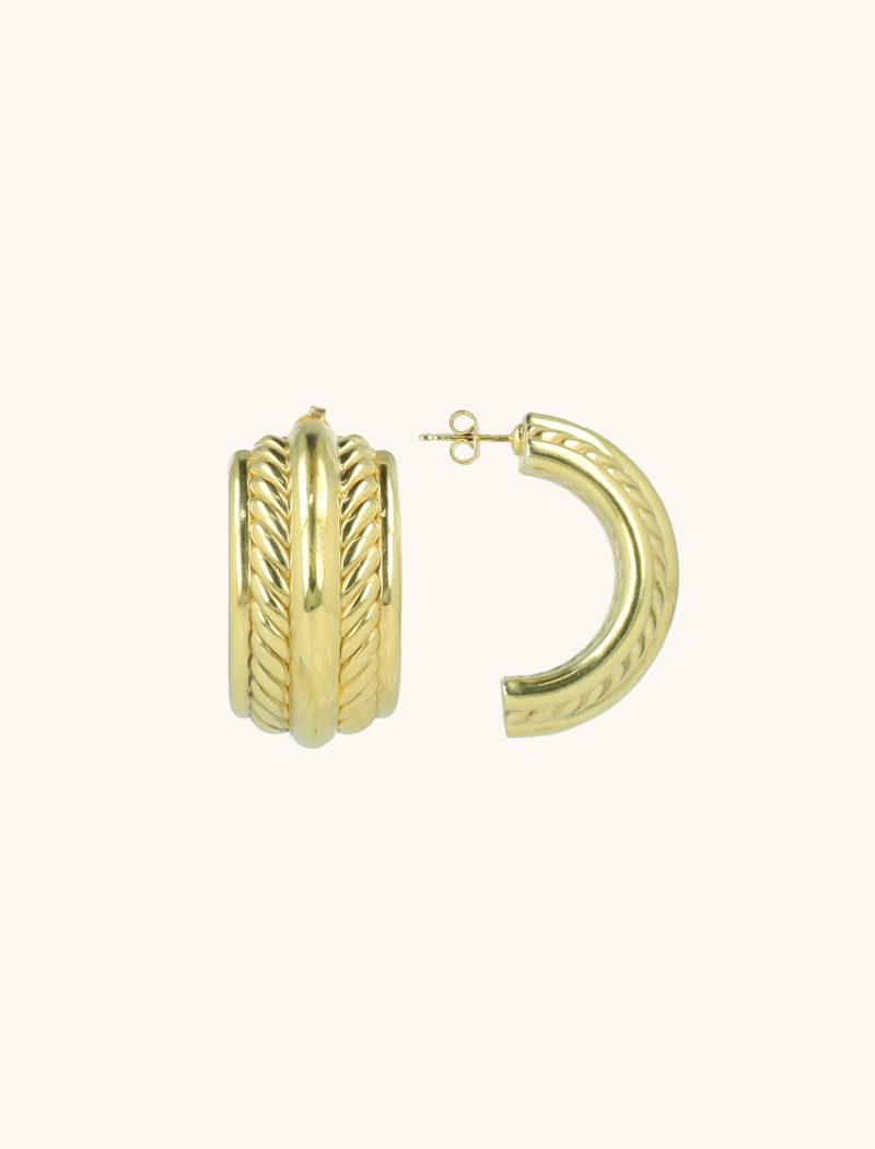 Earrings Shield