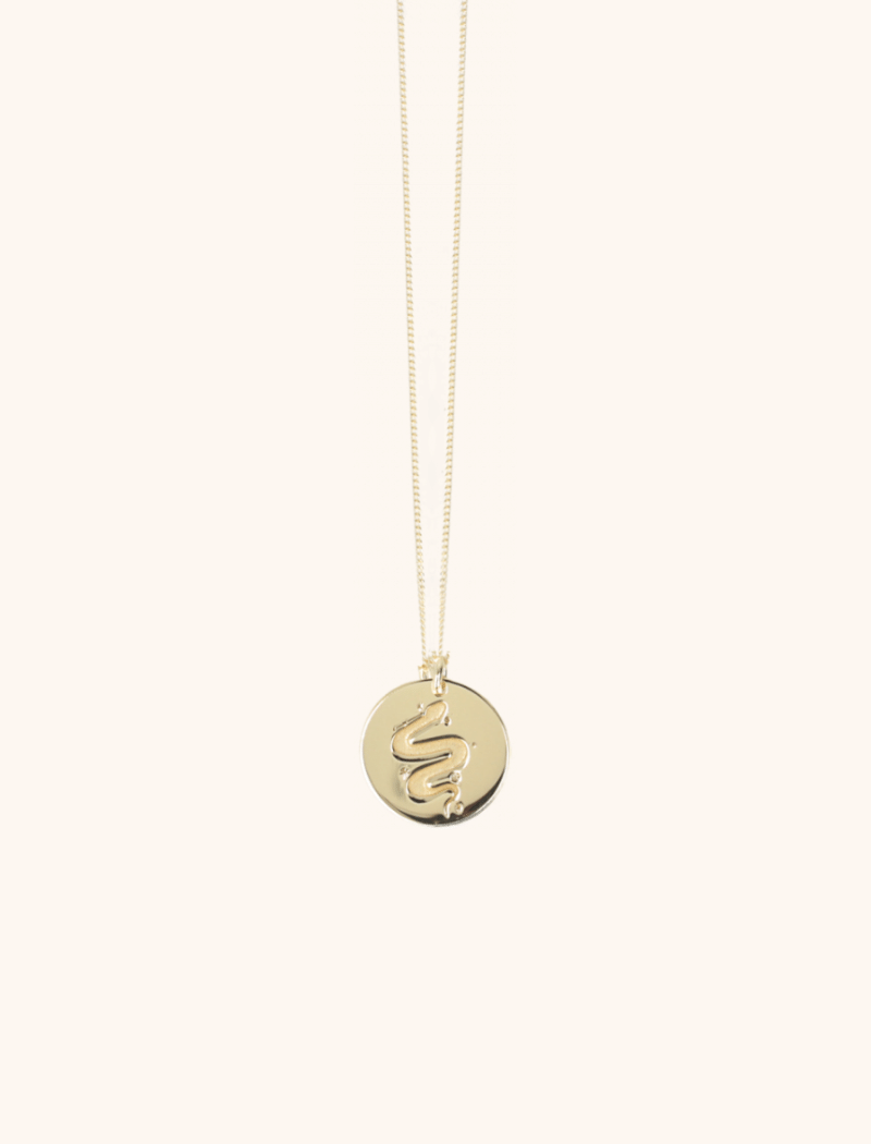 Snake Necklace Spirit Coin