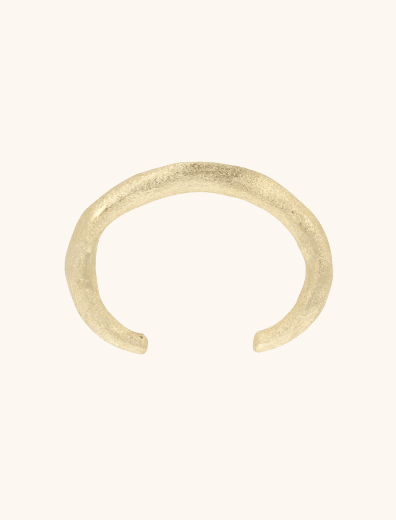 Classic Armband Brushed Bangle S