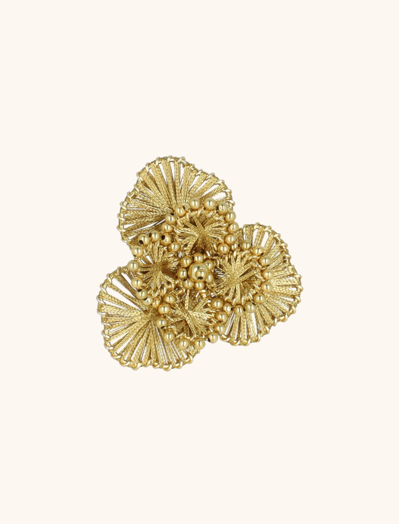Gouden Ring Aster Flowerlott-theme.productDescriptionPage.SEO.byTheBrand