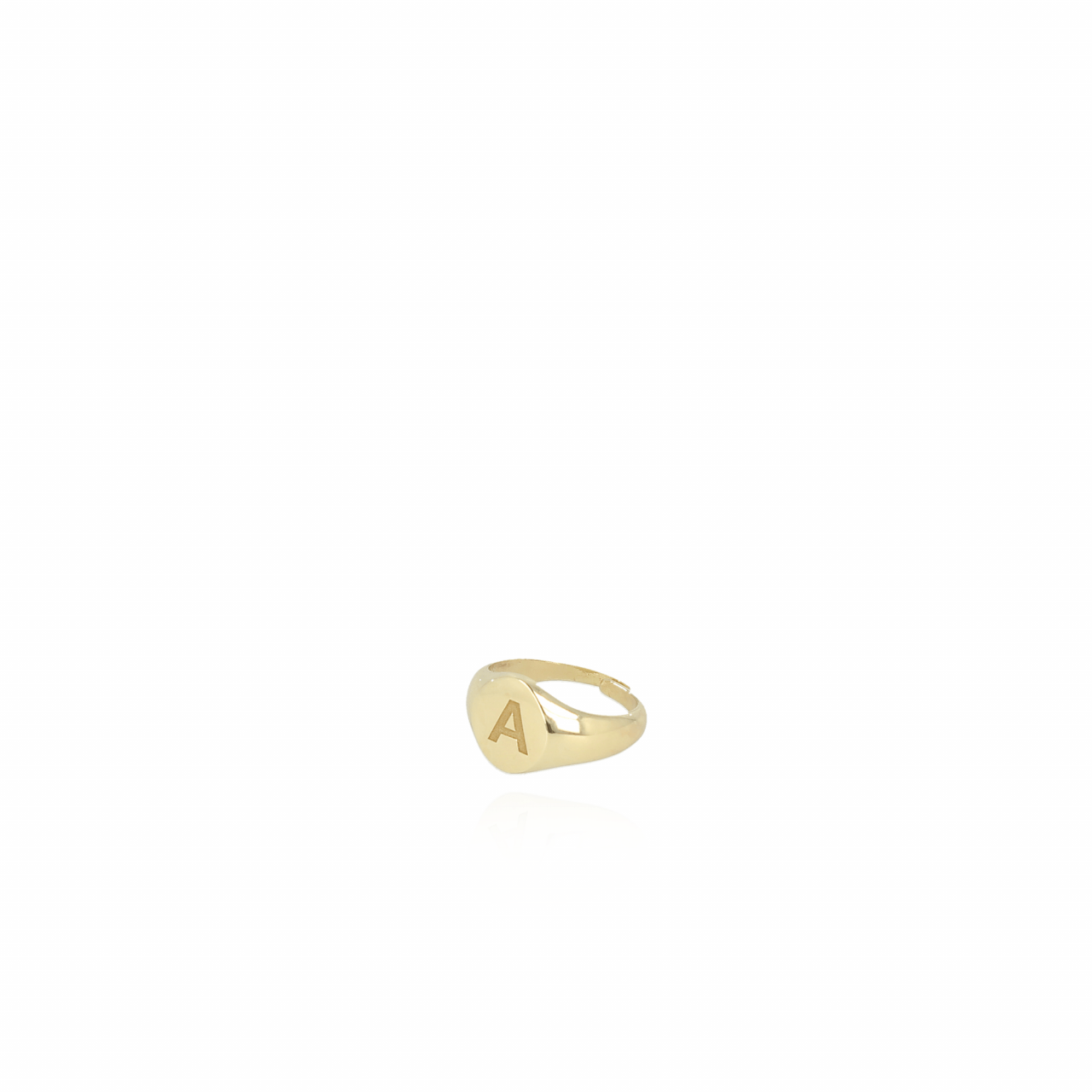 Initial Seal Ring