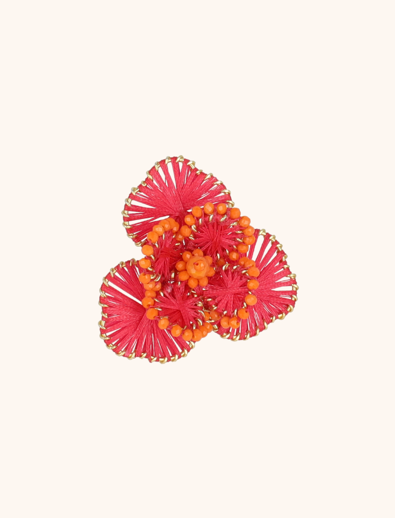 Fuchsia Ring Aster Flowerlott-theme.productDescriptionPage.SEO.byTheBrand
