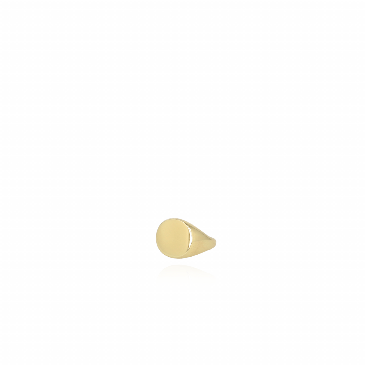 Seal round L Ring 