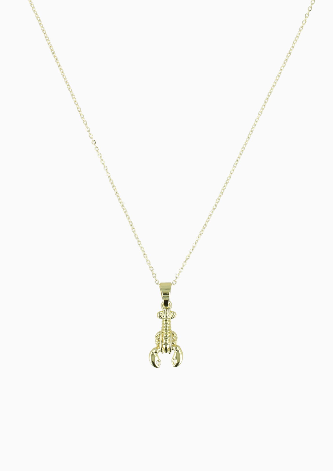 Gouden Ketting Kreeft