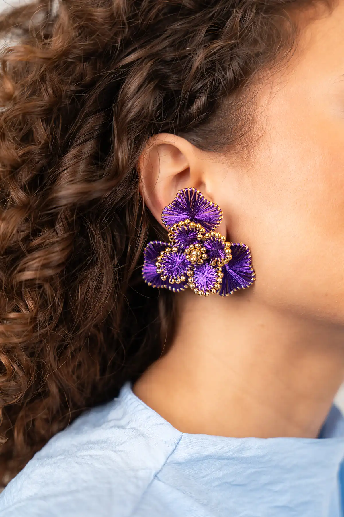 Paarse Oorbellen Aster Flower L