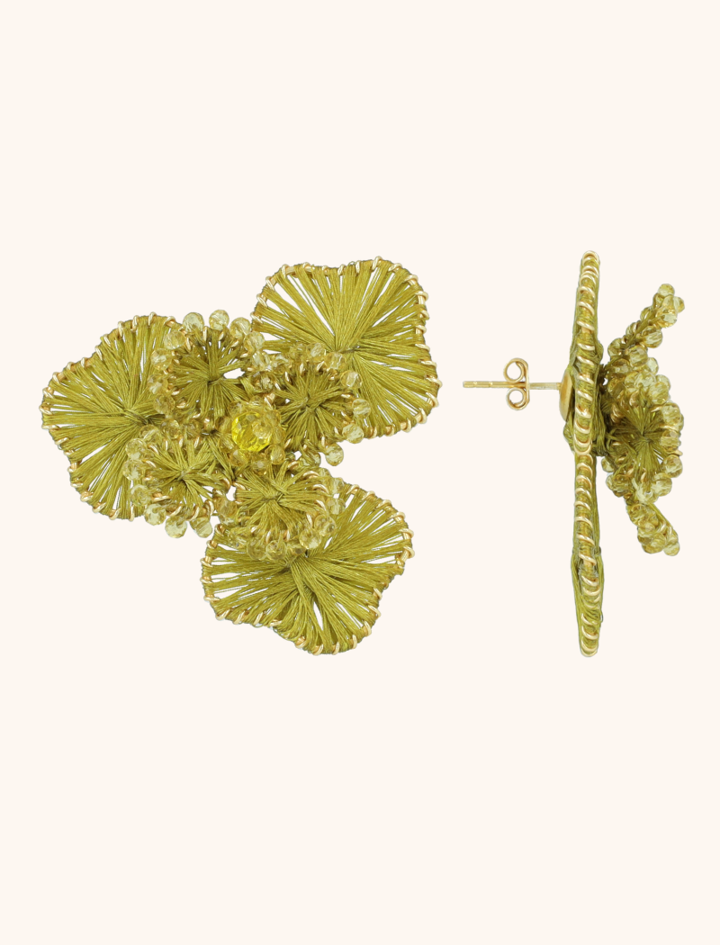 Groene Oorbellen Aster Flower L