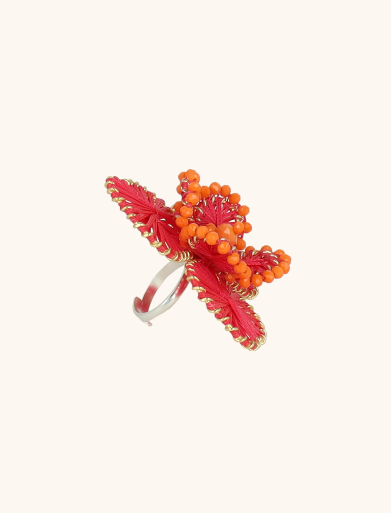 Fuchsia Ring Aster Flowerlott-theme.productDescriptionPage.SEO.byTheBrand