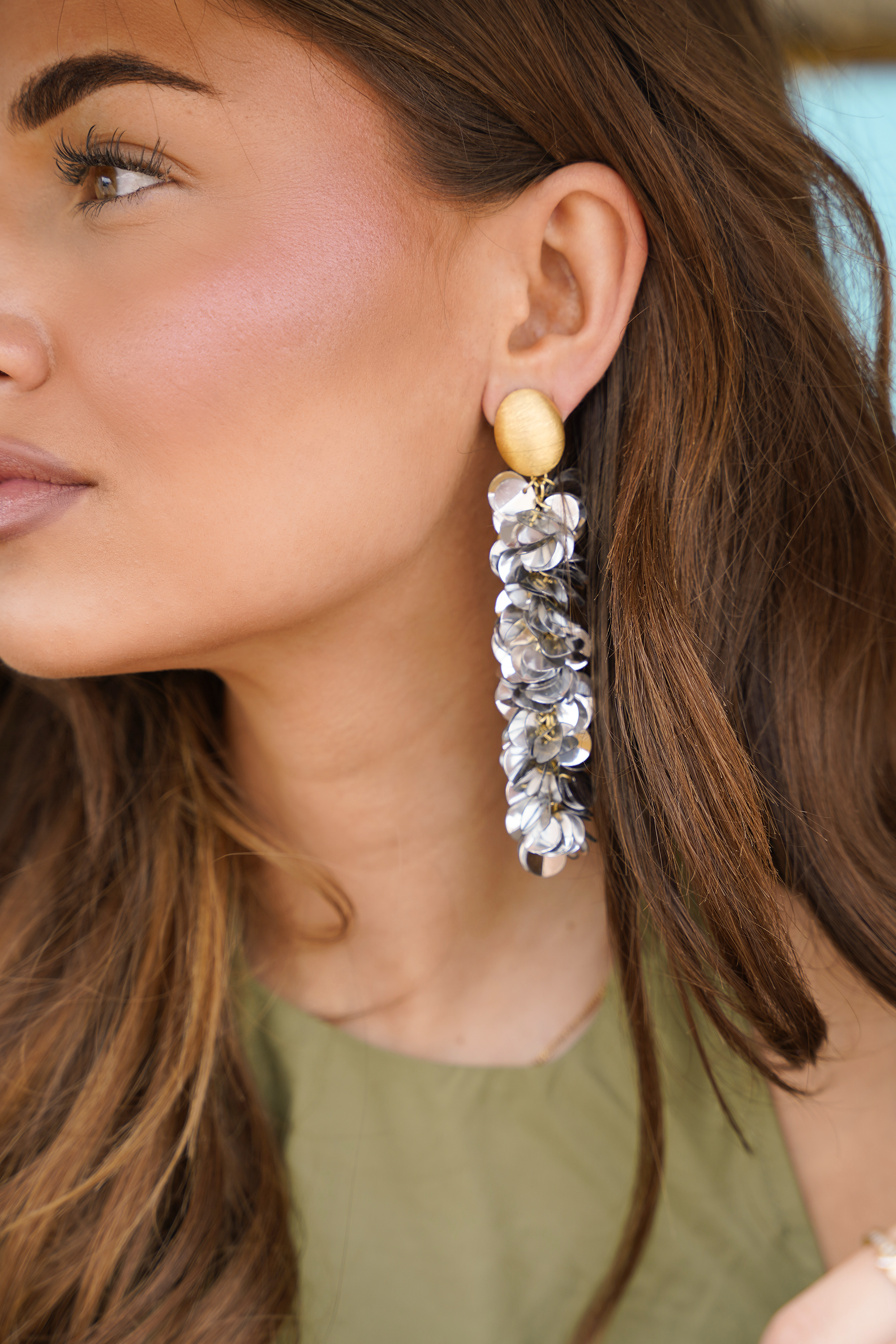 Zilverkleurige Sequin Oorbellen Snake L