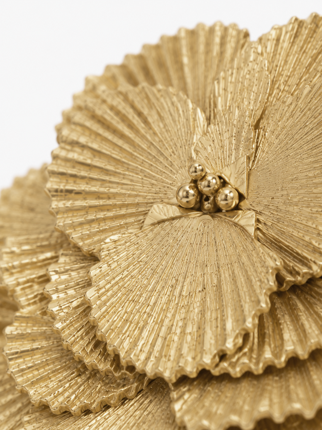 Honey Gold Earrings Charlize Shell Rain